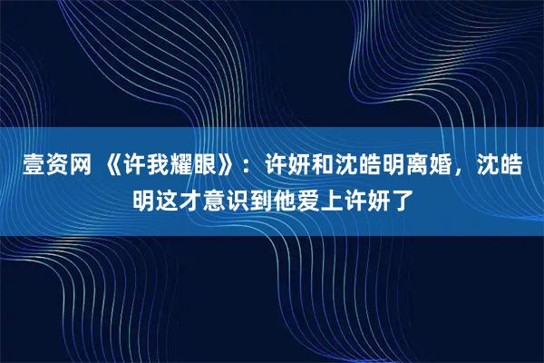壹资网 《许我耀眼》:许妍和沈皓明离婚,沈皓明这才意识到他爱上许妍了