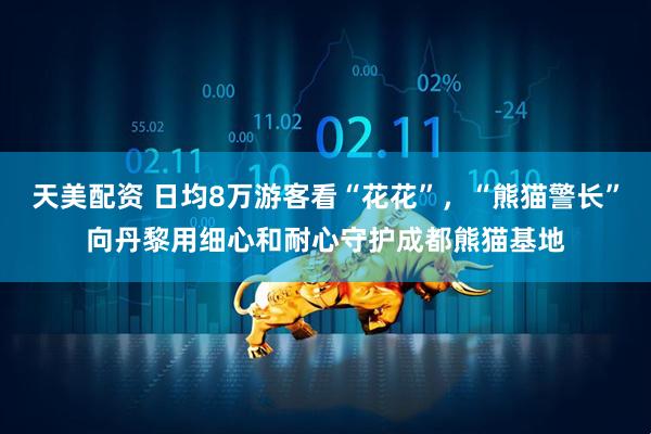 天美配资 日均8万游客看“花花”，“熊猫警长”向丹黎用细心和耐心守护成都熊猫基地